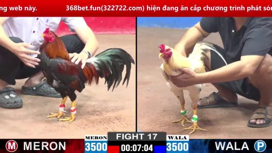 thumbnail 155