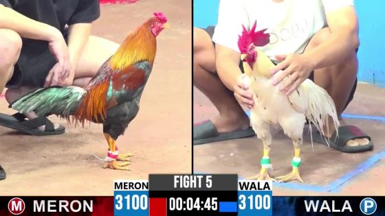 TRẬN 5 CPC3 5/5/2025 : ANH TUẤN BẾN TRE vs ANH TUẤN ( XỔ : ĐỒNG XỔ 20 TRIỆU