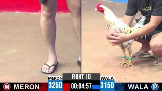 TRẬN 10 CPC3 5/5/2025 : ANH TÝ BÌNH DƯƠNG vs ANH HUY BÌNH CHÁNH ( XỔ : ĐỎ ĂN 9 XỔ 20 TRIỆU