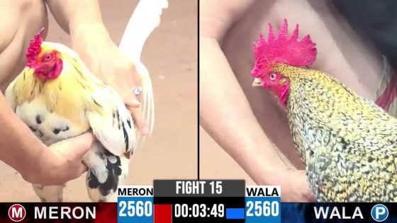 TRẬN 15 CPC3 10/5/2025 : ANH HẬU vs ANH TUẤN (BƯỚM THÁI MỸ QUÁ KHÔN CANH CHẶN 3 CHÂN CÚ LA MIỆNG )
