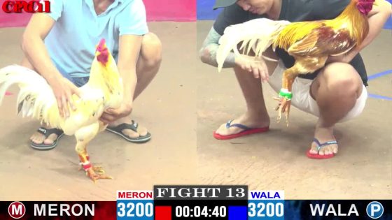 TRẬN 13 CPC1 10/5/2025 : ANH PHÁT SÀI GÒN vs ANH THIỆN (KHÉT NHẬP HẠ BƯỚM THÁI MỸ GẪY CHÂN LỤM CÁI XỔ 200 QUÁ NHANH LẸ )