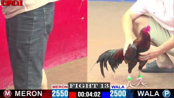 thumbnail 249