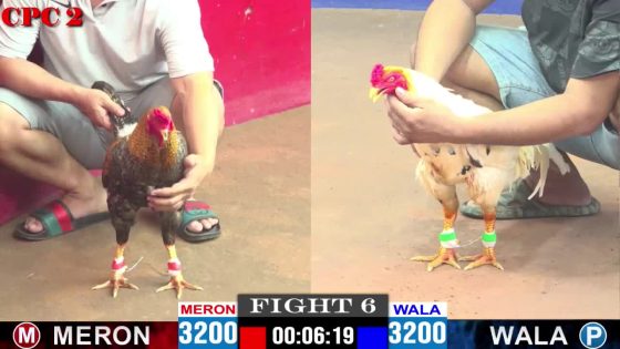 thumbnail 281