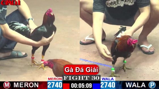 TRẬN 30 CPC1 15/5/2025 : ANH SƠN SÀI GÒN vs ANH HIẾU LONG AN (QUE THÁI MỸ CANH CHẶN HẠ XANH 1 TAY NƯỚC )