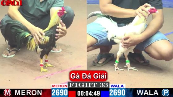 TRẬN 33 CPC1 15/5/2025 : ANH ĐẠI KC vs BLV GÀ LỬA (BƯỚM QUÁ ĐÂM CHUỐI HO STING LỤM LÚA QUÁ NHANH LẸ )