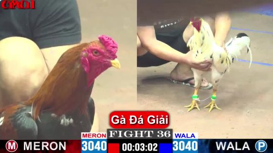 thumbnail 311