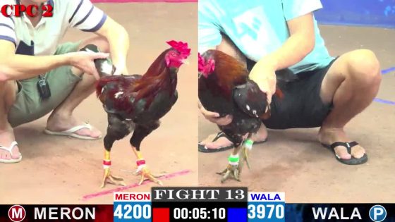TRẬN 13 CPC2 16/5/2025 : ANH TRUNG BẾN TRE vs ANH BẢO STING (IDOL NHẬP VÔ TUNG LIÊN HOÀN CƯỚC ĐỎ LỌT CHẾT )