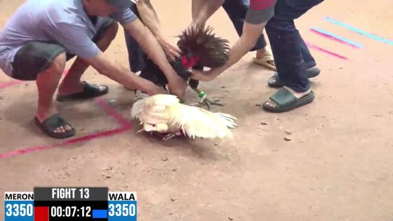 TRẬN 13 CPC3 17/5/2025 : ANH SỸ BÌNH DƯƠNG vs ANH GIANG ĐỨC HÒA  ( XỔ : ĐỒNG XỔ 30 TRIỆU
