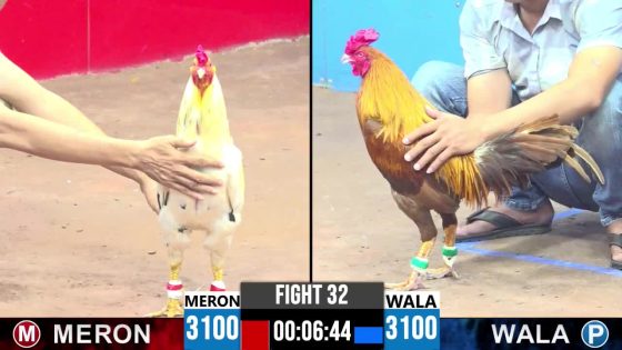 TRẬN 32 CPC3 17/5/2025 : ANH GIANG ĐỨC HÒA vs ANH KHƯƠNG BÌNH DƯƠNG ( XỔ : ĐỒNG XỔ 30 TRIỆU