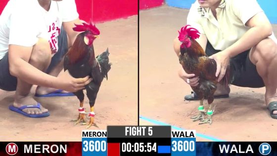 TRẬN 5 CPC3 18/5/2025 : ANH QUANG VŨNG TÀU vs ANH TUẤN HOÓC MÔN ( XỔ : ĐỒNG XỔ 100 TRIỆU