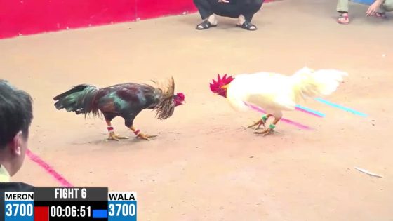 TRẬN 6 CPC3 18/5/2025 : ANH TUẤN vs ANH SANG CAMPUCHIA ( XỔ : ĐỒNG XỔ 100 TRIỆU