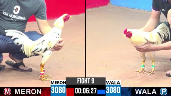 TRẬN 9 CPC3 18/5/2025 : ANH THỊNH VŨNG TÀU vs ANH CƯỜNG CẦN THƠ ( XỔ : ĐỒNG XỔ 100 TRIỆU