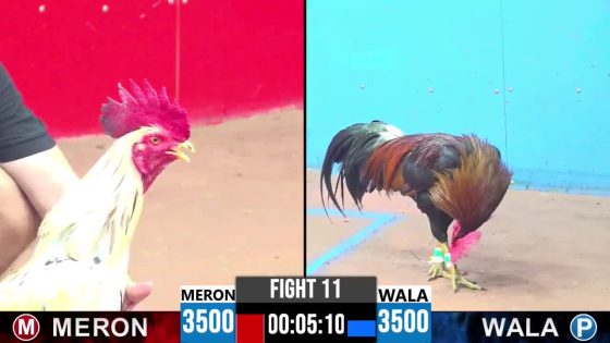 TRẬN 11 CPC3 18/5/2025 : ANH THẢO GÒ CÔNG vs CHÚ MỸ LIỀU ( XỔ : ĐỒNG XỔ 100 TRIỆU