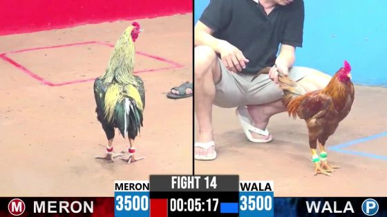 TRẬN 14 CPC3 18/5/2025 : ANH THẮNG LÊ vs ANH MINH HẬU GIANG ( XỔ : ĐỒNG XỔ 100 TRIỆU