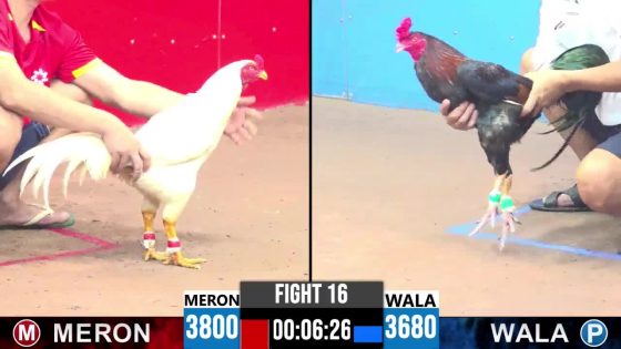 TRẬN 16 CPC3 18/5/2025 : ANH LÚA SÀI GÒN vs ANH THẮNG LE (  XỔ : ĐỎ ĂN 9 XỔ 100 TRIỆU