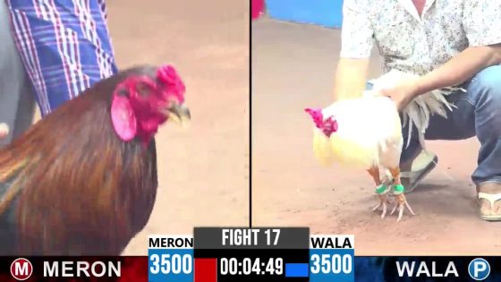 TRẬN 17 CPC3 18/5/2025 : ANH MỸ LIỀU vs ANH THẢO GÒ CÔNG ( XỔ : ĐỒNG XỔ 100 TRIỆU