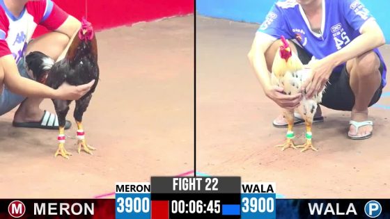 TRẬN 22 CPC3 18/5/2025 : ANH DŨNG LONG XUYÊN vs ANH CU LỲ BẾN TRE ( XỔ : ĐỒNG XỔ 100 TRIỆU