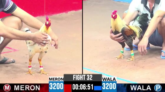 TRẬN 32 CPC3 18/05/2025 : ANH AN CPC VS ANH ĐẠI VĨNH LONG ( XỔ : ĐỒNG XỔ 100 TRIỆU