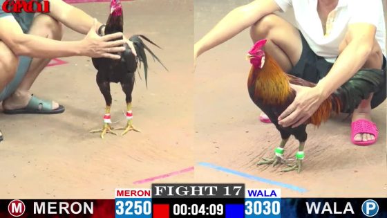 thumbnail 400