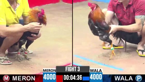 TRẬN 3 CPC3 20/05/2025 : ANH THIÊN ĐỨC HÒA VS ANH TUẤN ( XỔ : ĐỒNG XỔ 30 TRIỆU