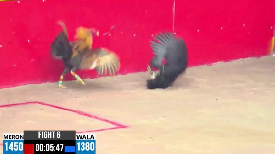TRẬN 6 CPC3 20/05/2025 : ANH SỸ BÌNH DƯƠNG VS ANH TUẤN THOMO ( XỔ : ĐỒNG XỔ 30 TRIỆU