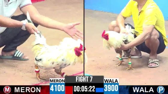 TRẬN 7 CPC3 20/05/2025 : ANH VIỆT VĨNH LONG VS ANH ĐỨC HÒA ( XỔ : ĐỎ ĂN 9 XỔ 30 TRIỆU