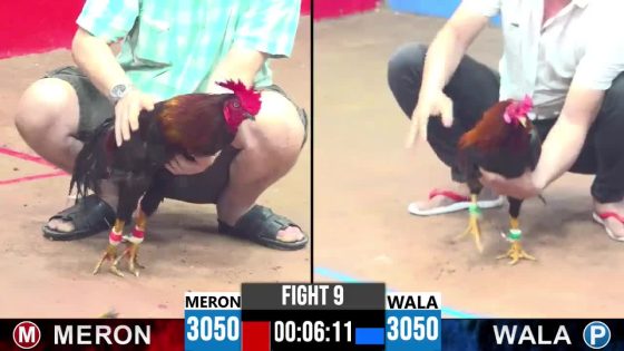 TRẬN 9 CPC3 20/05/2025 : ANH MINH LONG AN VS ANH TIỀN ( XỔ : ĐỒNG XỔ 30 TRIỆU