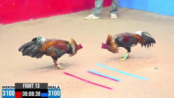 TRẬN 13 CPC3 20/05/2025 : ANH GIANG ĐỨC HÒA VS ANH THIÊN ĐỨC HÒA ( XỔ : ĐỒNG XỔ 30 TRIỆU