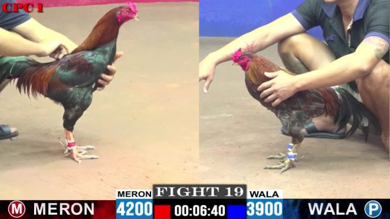 TRẬN 19 CPC1 20/05/2025 : ANH BÉ VS ANH BI SÀI GÒN (XỔ : ĐỎ ĂN 9 XỔ 20 TRIỆU