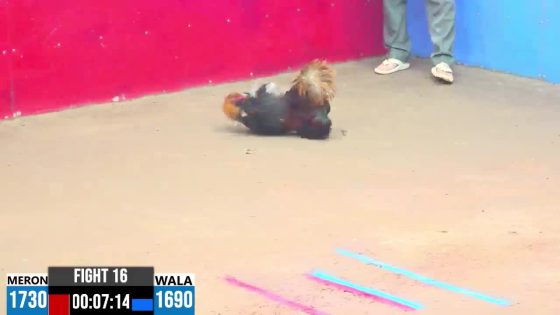 TRẬN 16 CPC3 20/05/2025 : ANH ĐỊNH CỦ CHI VS ANH HUY TRÀ SỮA (XỔ : ĐỎ ĂN 9 XỔ 30 TRIỆU
