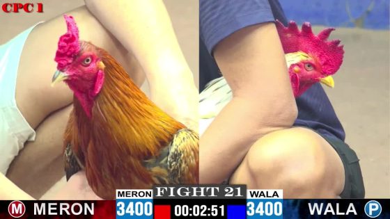TRẬN 21 CPC1 20/05/2025 : ANH VÀNG VS ANH TÝ (XỔ : ĐỒNG XỔ 20 TRIỆU