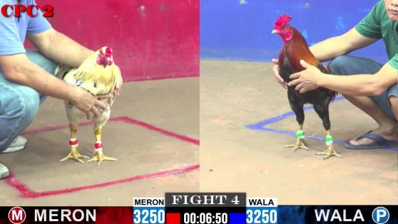 TRẬN 4 CPC2 21/05/2025 : ANH ĐỊNH CỦ CHI vs ANH HỒNG ( XỔ : ĐỒNG XỔ 30 TRIỆU