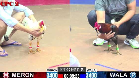 TRẬN 5 CPC2 21/05/2025 : ANH BU vs ANH SÁU CẦN THƠ ( XỔ : ĐỒNG XỔ 30 TRIỆU