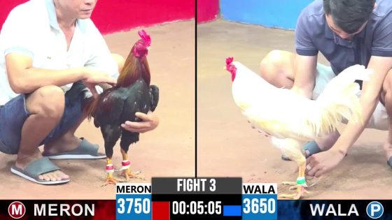 TRẬN 3 CPC3 22/05/2025 : ANH TÈO LONG KHÁNH vs ANH TUẤN (XỔ : ĐỎ ĂN 9 XỔ 30 TRIỆU