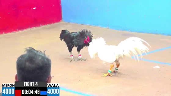 TRẬN 4 CPC3 22/05/2025 : ANH SƠN HOÓC MÔN vs ANH DUY (XỔ : ĐỒNG XỔ 30 TRIỆU