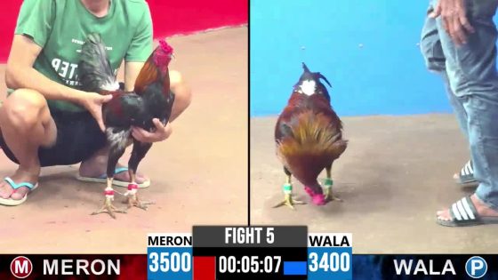 TRẬN 5 CPC3 22/05/2025 : ANH GIANG ĐỨC HÒA vs ANH DUY (XỔ : ĐỎ ĂN 9 XỔ 30 TRIỆU