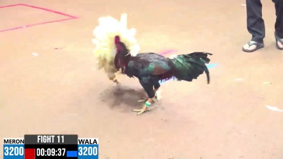 TRẬN 11 CPC3 23/05/2025 : ANH PHÚC ĐỒNG NAI vs ANH TÈO BẢO LỘC ( XỔ : ĐỒNG XỔ 30 TRIỆU