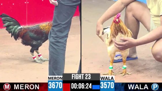 TRẬN 23 CPC3 23/05/2025 : ANH PHƯƠNG TÓC DÀI vs ANH QUANG VŨNG TÀU (XỔ : ĐỎ ĂN 9 XỔ 30 TRIỆU