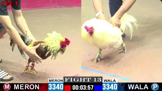 TRẬN 13 CPC1 24/05/2025 : ANH DỰ VŨNG TÀU vs ANH THANH HƯNG (CHUỐI CANH CHẶN 1 CHÂN ĐẾN VŨNG TÀU CÒN NGHE )