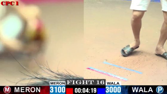 TRẬN 16 CPC1 24/05/2025 : ANH HÙNG vs ANH ÁI (CÚ ĐÁ NHƯ CÁI MÁY ĐIỀU CHƯA KỊP NHÌN ĐÃ TÉ )