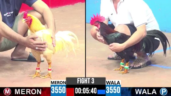 TRẬN 3 CPC3 25/05/2025 : ANH BOY CAMPUCHIA vs ANH DANH SÓC TRĂNG (  ĐỎ QUÁ ĐẲNG CẤP ÓI MÀ VẪN CÓ CHÂN CỨU CHỦ