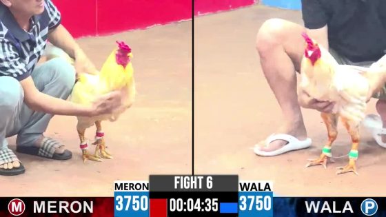 TRẬN 6 CPC3 25/05/2025 : ANH KHOA BẾN LỨC vs ANH TUẤN  (  BƯỚM CÚ HẠ KHÉT SỮA CHẾT TRONG TIM