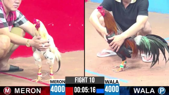 TRẬN 10 CPC3 25/05/2025 : ANH TUẤN HOÓC MÔN vs ANH TUẤN (  BƯỚM NGOẠI HẠNG NÓ ĐÂM 1 CẶP ĐIỀU CHẠY THOÁT THÂN