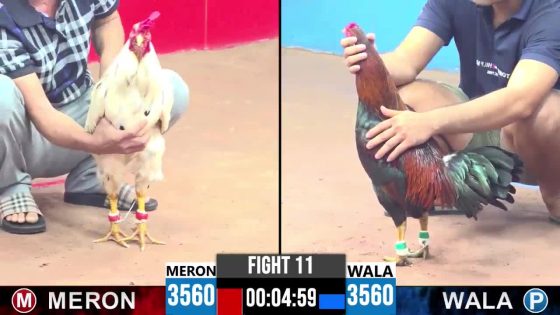 TRẬN 11 CPC3 25/05/2025 : ANH KHOA BẾN LỨC vs CHÚ LŨY CAMPUCHIA  (  XANH HIỆU IDOL C1 NÓ ĐÂM KHÔNG ĐẾM NỔI