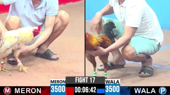 TRẬN 17 CPC3 26/05/2025 : ANH HAI HÓC MÔN VS ANH ÚT MIỀN TÂY (  BƯỚM DÙNG LĂNG BA VI BỘ ĐẠP ĐẦU CỦNG TÉ