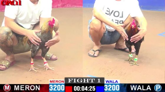 TRẬN 1 CPC1 3/5/2025 : ANH HÙNG vs ANH CHÍN ( XỔ : ĐỒNG XỔ 30 TRIỆU