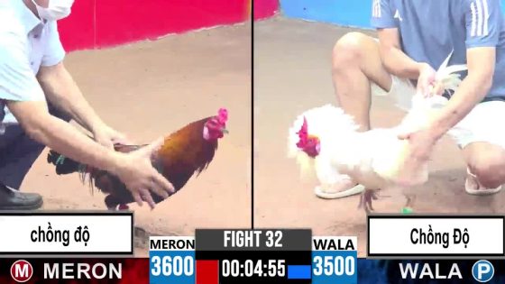 TRẬN 32 CPC3 26/05/2025 : ANH HIỀN BÌNH DƯƠNG VS ANH ĐEN BIỆN (  ĐỎ CHỒNG ĐỘ ĐÂM CHỦ BỒ ĐỨNG KHÔNG NỔI