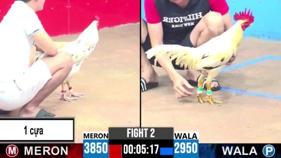 TRẬN 2 CPC3 27/05/2025 : ANH PHÊ vs ANH ĐEN (NÀY THÌ CHẤP NGÔNG . 1 CỰA MÀ NÓ ĐÂM NỔI ỐC CỤC )