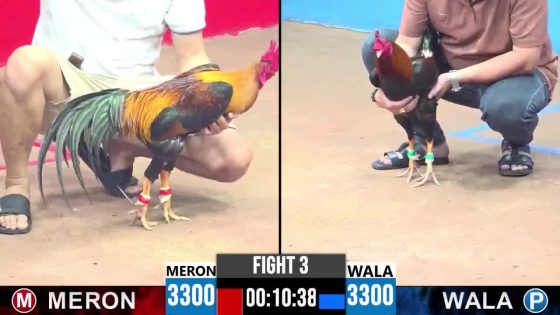 TRẬN 3 CPC3 28/05/2025 : ANH PHÁT ĐỨC HÒA vs ANH HIẾU (ĐIỀU VIỆT LAI ĐÂM TOÀN NÁCH NON )