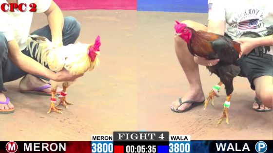 TRẬN 4 CPC2 28/05/2025 : ANH VINH vs ANH DANH (QUE GIAO CHÂN LÊN BƯỚM TAN NÁT KHỚP CHÂN )